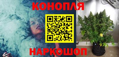 наркотики Камышлов