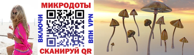 Галлюциногенные грибы MAGIC MUSHROOMS  Лабытнанги 