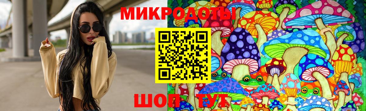 закладка  Лабытнанги  Галлюциногенные грибы ЛСД 