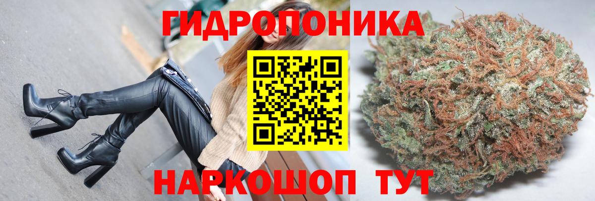 МАРИХУАНА White Widow Лабытнанги